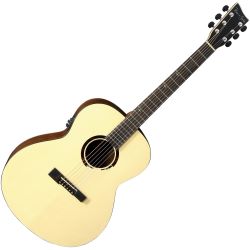 VGS BR-30 E Belle Rose E-Akustikgitarre