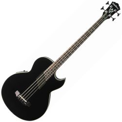 Washburn AB 10 B Akustikbass