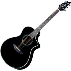Breedlove Stage Black Magic Concert BRSGC21CEB Westerngitarre