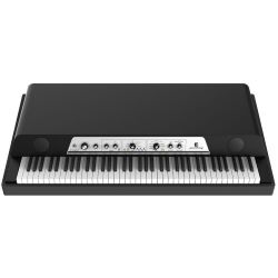 Waldorf Zarenbourg Black Stage Piano