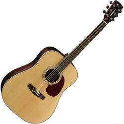 Cort Earth 100 RW Westerngitarre