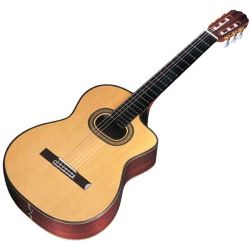 Takamine TH90