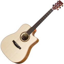 Lakewood D-18 CP inkl. L.R. Baggs  u. Koffer Westerngitarre