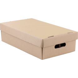 CD Pappbox Lagerkiste für 100-120 CD's (Faltkarton)