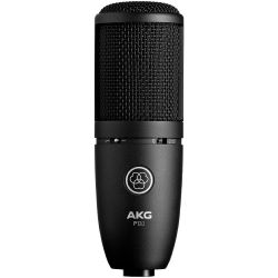 AKG P 120