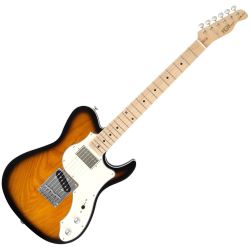 FGN J-Standard Iliad 2-TSB E-Gitarre