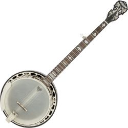 Fender Deluxe Concert Tone 58 5-String Banjo