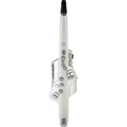 Roland AE-10 Aerophone