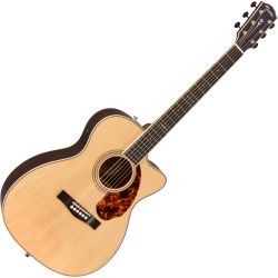 Fender PM-3 Limited Adirondack RW Westerngitarre