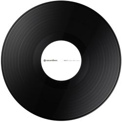 Pioneer DJ RB-VS1-K Control Vinyl