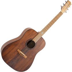 Randon RGI-10VT Westerngitarre