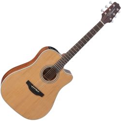 Takamine G-Serie GD20CE NS Dreadnought/C