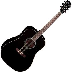 Cort Earth 100 BK Westerngitarre