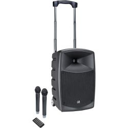 LD Systems ROAD BUDDY 10 HHD 2 B5