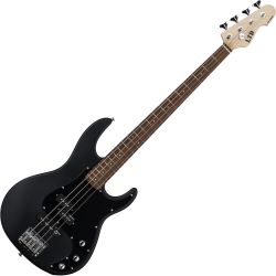ESP Ltd AP-204 BLKS E-Bassgitarre