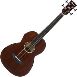 Ibanez AVNB1FE-BV Fretless Parlor Akustikbass