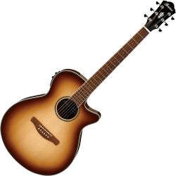 Ibanez AEG10II-NNB Westerngitarre