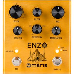 Meris Enzo