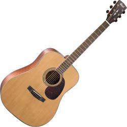 Cort Earth 100 Westerngitarre Natur Satin