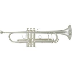 Roy Benson TR-402S Bb-Trompete Pro Series versilbert B-Ware