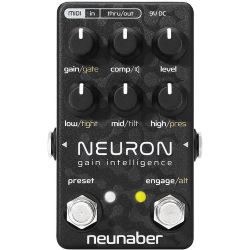 Neunaber Neuron Gain Intelligence