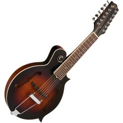 Gold Tone F-12 Mando-Guitar inkl. Koffer