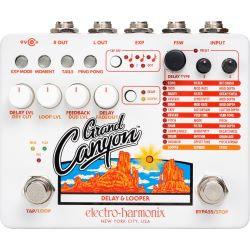 Electro Harmonix Grand Canyon Delay + Looper