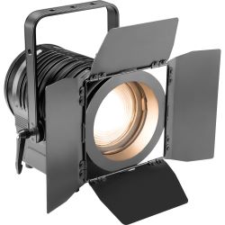 Cameo TS 100 WW