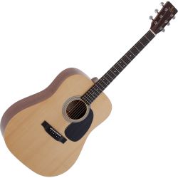 Sigma D-10 AMI Sonderedition