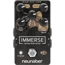 Neunaber Immerse MKII Reverberator