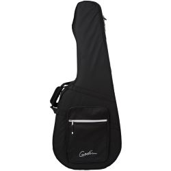 Godin TRIC Case Multiac Steel Duet Ambiance / Spectrum Koffer