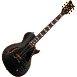 ESP Ltd PS-1000 VB E-Gitarre