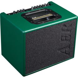 AER Compact 60 IV BRG Akustikverstärker