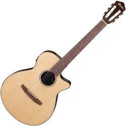 Ibanez AEG50N-NT Konzertgitarre Sattelbreite 46 mm