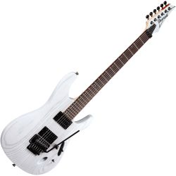 Ibanez PWM20 Paul Waggoner Signature E-Gitarre