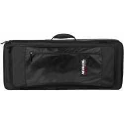 Analog Cases Sustain Case 49