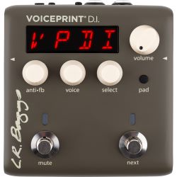L.R.Baggs Voiceprint DI