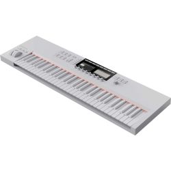 Native Instruments KOMPLETE KONTROL S61 MK2 Vapor Gray LTD