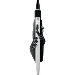 Roland AE-20 Aerophone