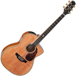 Takamine Limited 2022 Westerngitarre