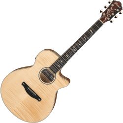 Ibanez AEG750-NT Westerngitarre
