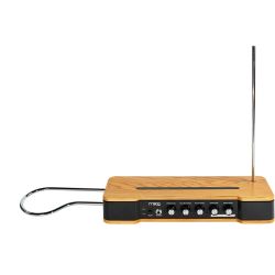 Moog Etherwave Theremin