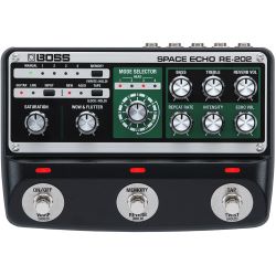 Boss RE-202