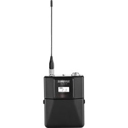 Shure QLXD1 Taschensender H51 (534-598MHz)