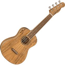 Fender Zuma Exotic Spalted Maple Konzert-Ukulele