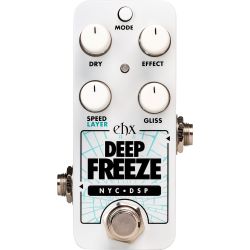 Electro Harmonix Pico Deep Freeze Sound Retainer / Sustainer