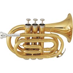 SML Paris VSM TP50 Bb-Taschentrompete Messing Gold lackiert