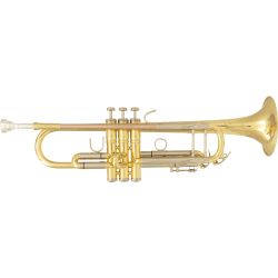 SML Paris VSM TP500 Bb-Trompete Messing lackiert