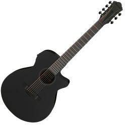 Ibanez AEG721-BOT 7 String Westerngitarre