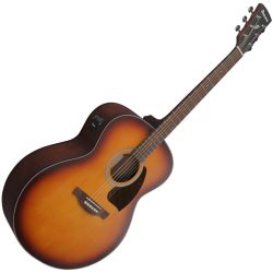 Ibanez PJ50E-OAH Westerngitarre
